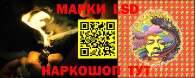индика Будённовск