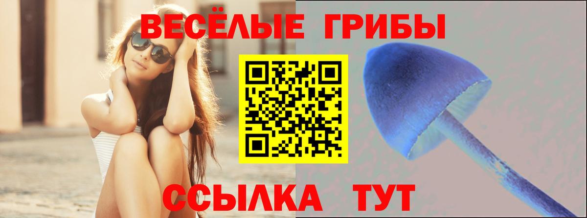 Псилоцибиновые грибы Magic Shrooms Гагарин