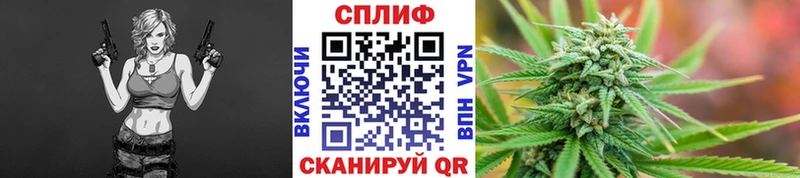Бошки Шишки THC 21% Гагарин