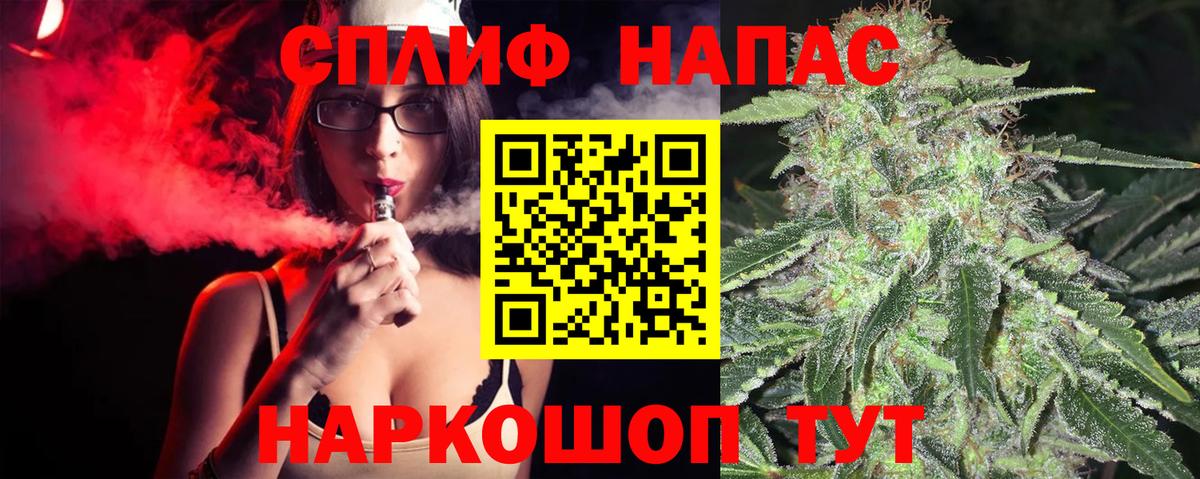 Бошки Шишки VHQ Гагарин